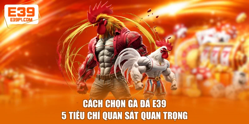 Cách Chọn Gà Đá E39 - 5 Tiêu Chí Quan Sát Quan Trọng