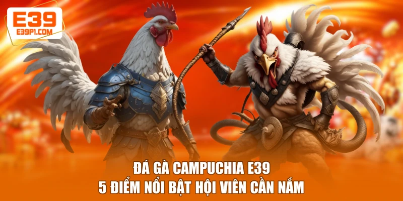 Đá Gà Campuchia E39 - 5 Điểm Nổi Bật Hội Viên Cần Nắm