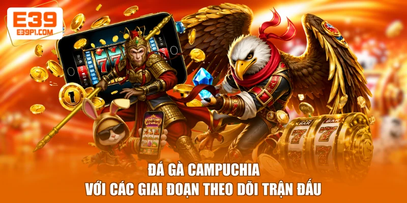 Đá gà Campuchia với các giai đoạn theo dõi trận đấu