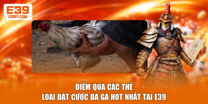 Điểm qua các thể loại đặt cược đá gà hot nhất tại E39
