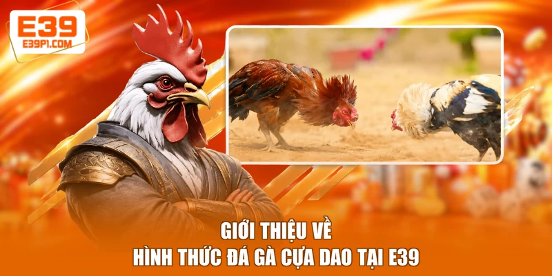 Giới thiệu về hình thức đá gà cựa dao tại E39