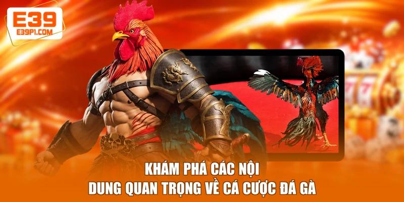 Khám phá các nội dung quan trọng về cá cược đá gà