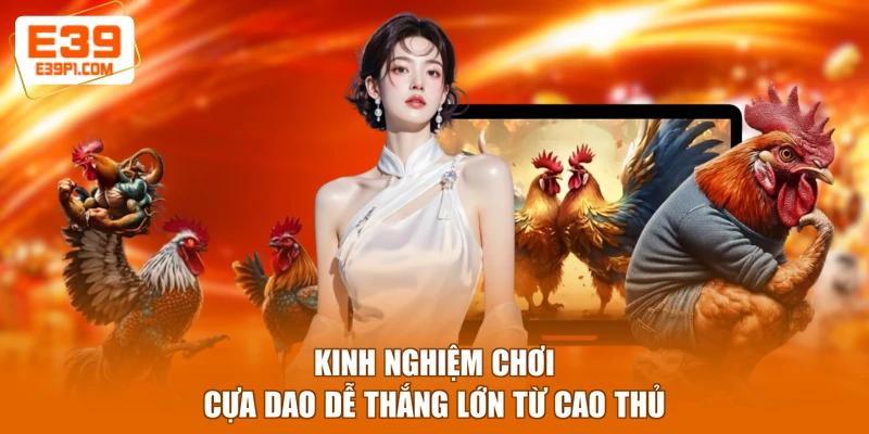 Kinh nghiệm chơi cựa dao dễ thắng lớn từ cao thủ