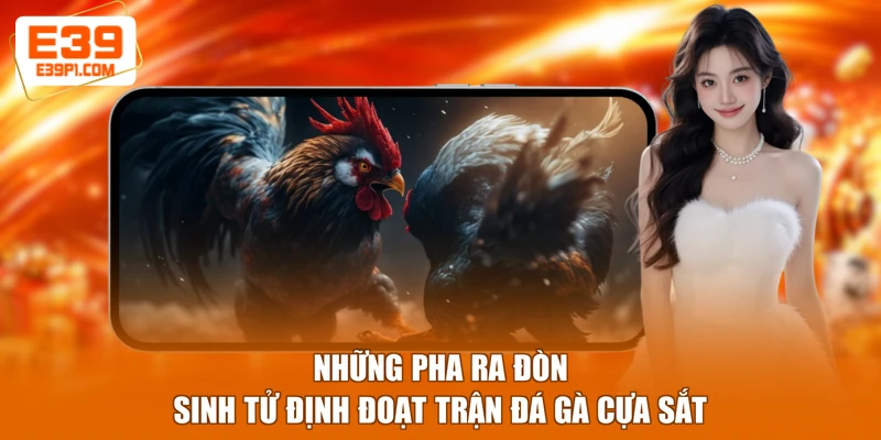 Những pha ra đòn sinh tử định đoạt trận đá gà cựa sắt