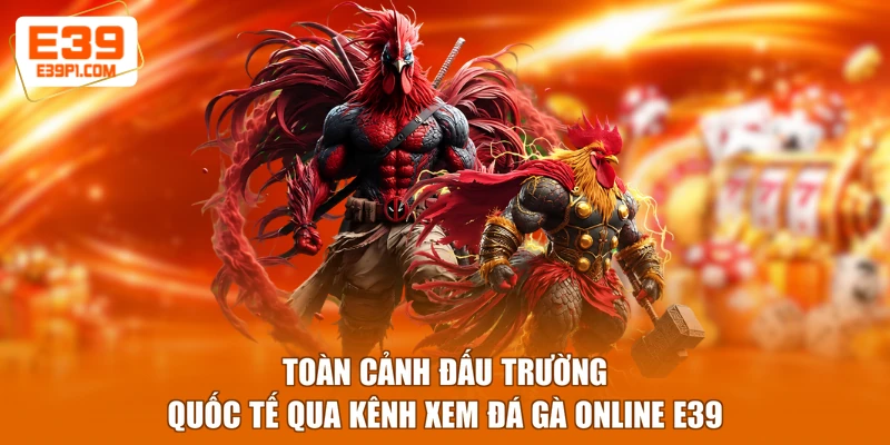 Toàn cảnh đấu trường quốc tế qua kênh xem đá gà online E39