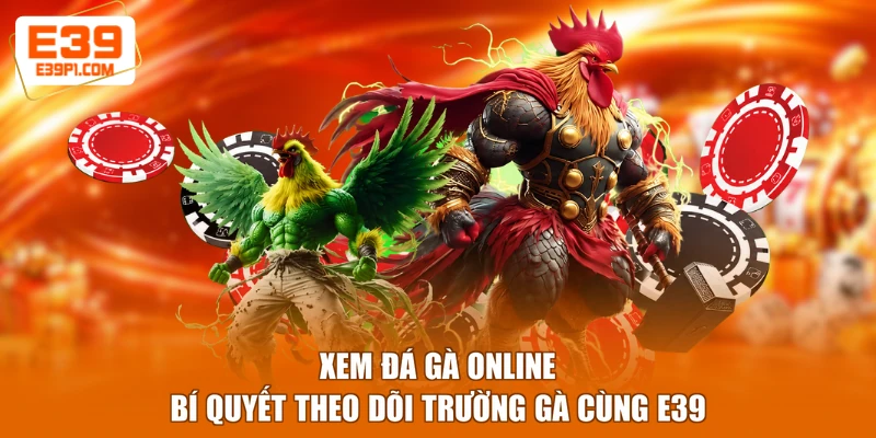 Xem Đá Gà Online - Bí Quyết Theo Dõi Trường Gà Cùng E39